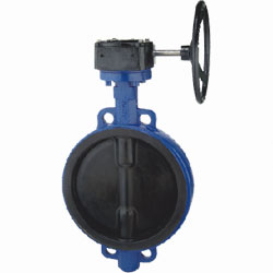 對夾（jiá）襯膠蝶閥