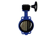 對夾式半襯蝶閥