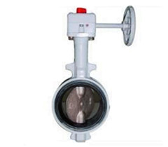 蝸（wō）輪防結露蝶閥