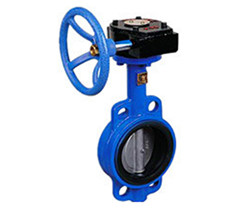 蝸輪對夾式軟密封蝶閥