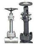 鍛鋼低（dī）溫截止閥