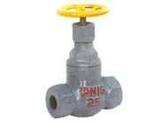 內螺紋氨用截止閥