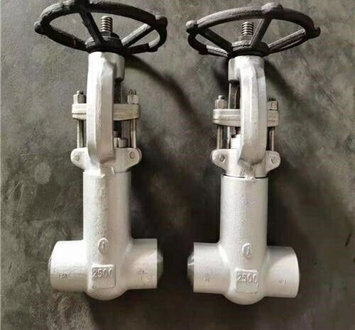 鍛（duàn）鋼波紋管截（jié）止閥